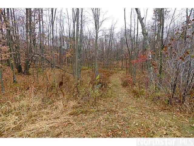 2458 Pierce St Croix Road Baldwin, WI 54002 - Photo 15 of 18