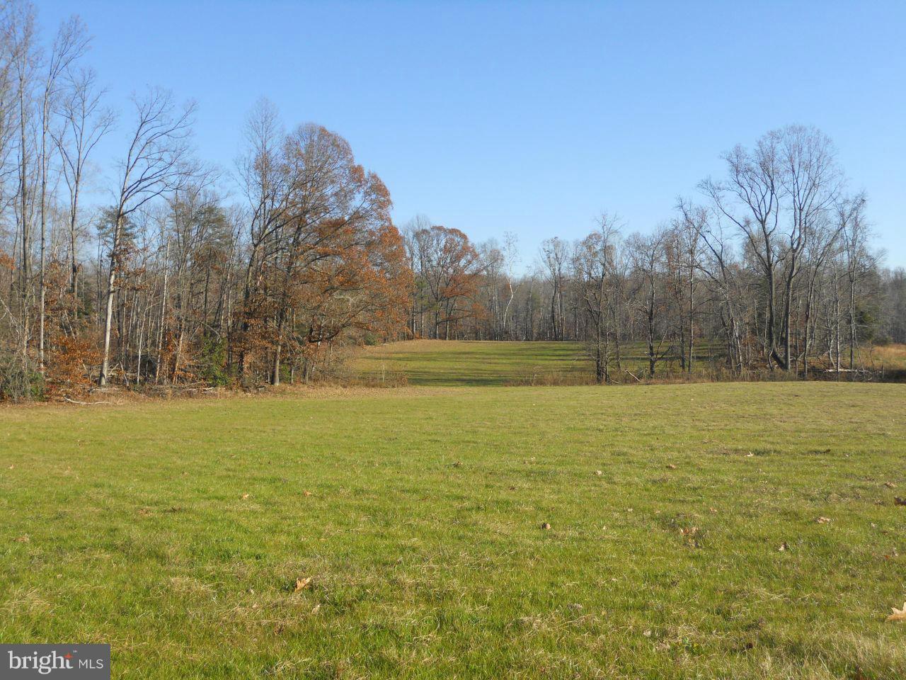 13059 Martin Road Brandywine, MD 20613 - Photo 1 of 4 Exterior (General)