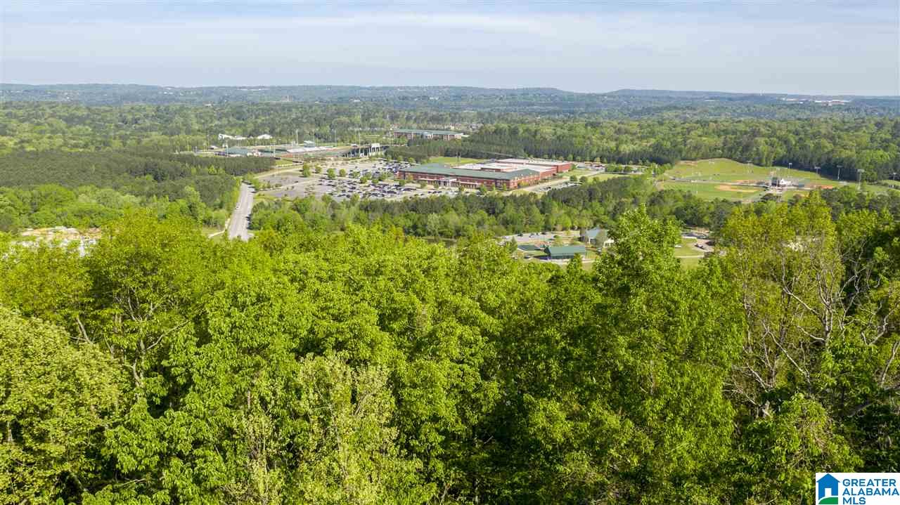 5374 Meadowbrook Road Birmingham, AL 35242 - Photo 6 of 32