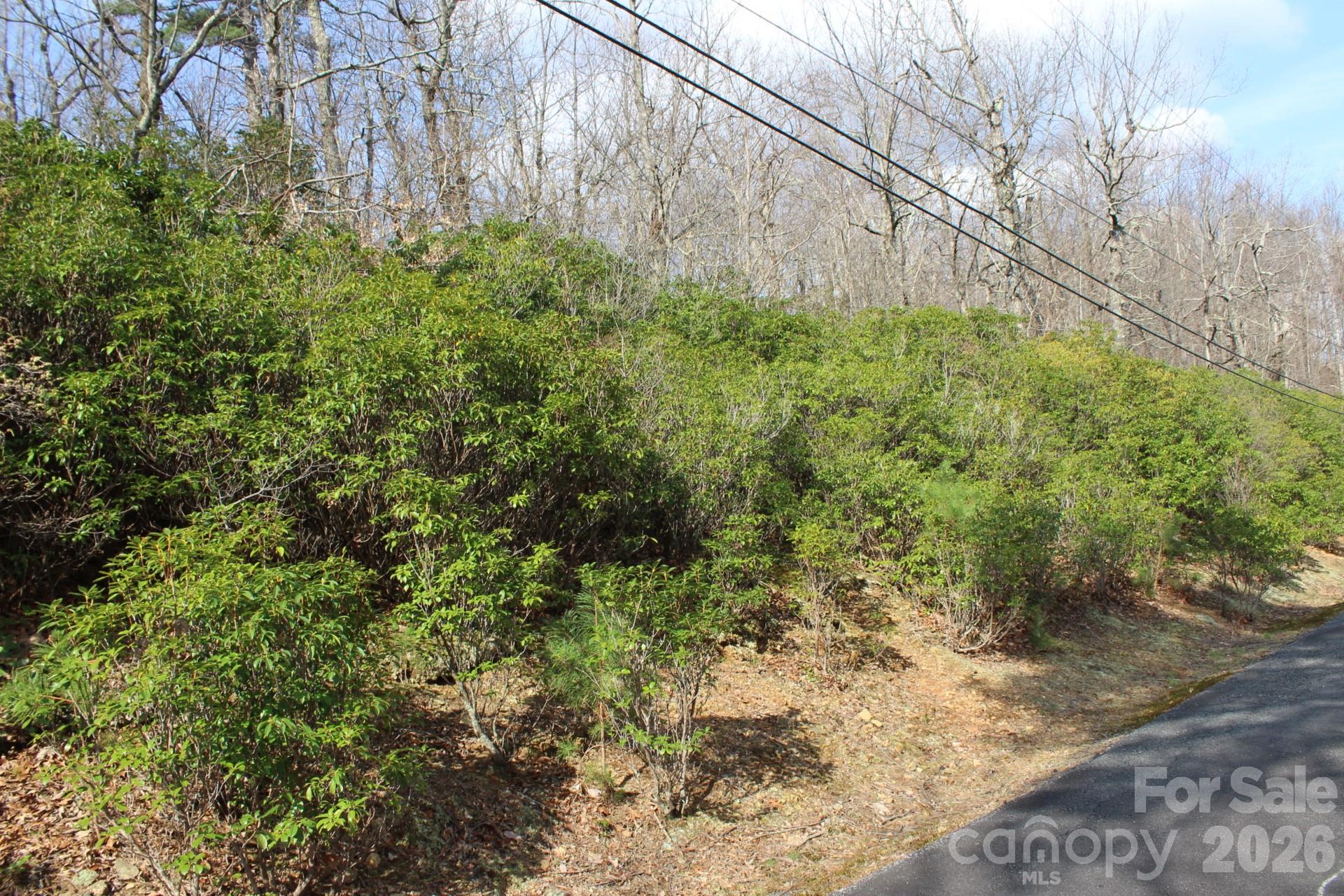 Lot 9 Sunset Ridge Drive, Unit 9 Tryon, NC 28782 - Photo 19 of 19 Gallery Image 19