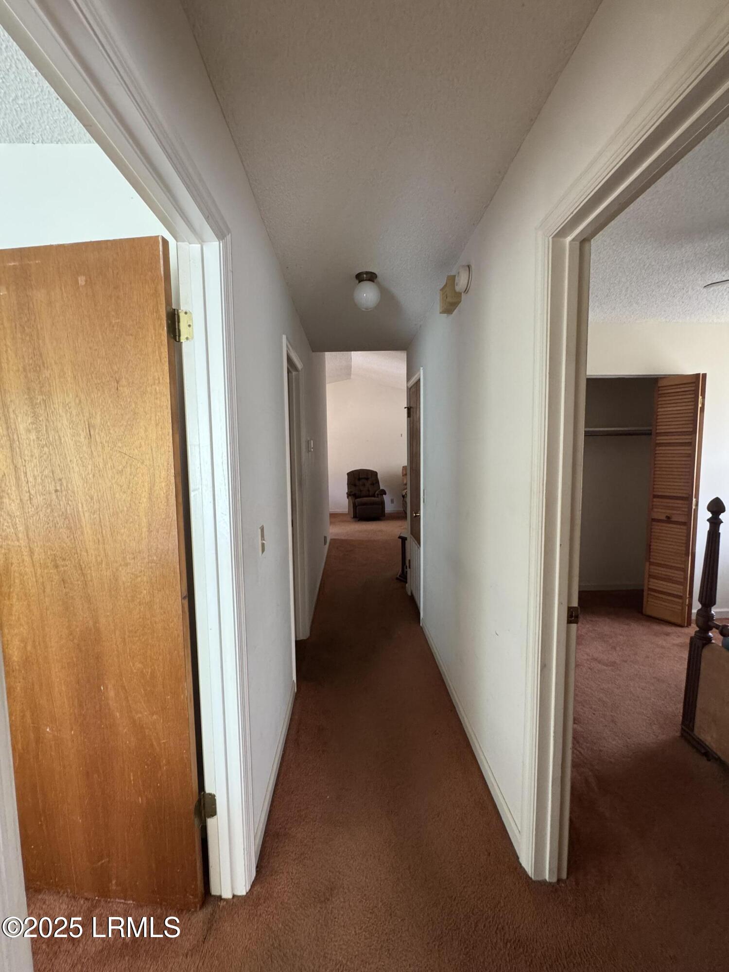 385 Thomas Hamilton Road Brunson, SC 29911 - Photo 12 of 24 IMG_3951