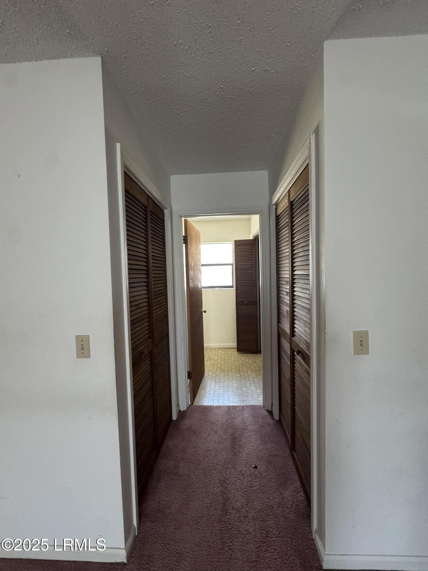 385 Thomas Hamilton Road Brunson, SC 29911 - Photo 13 of 24 IMG_3957