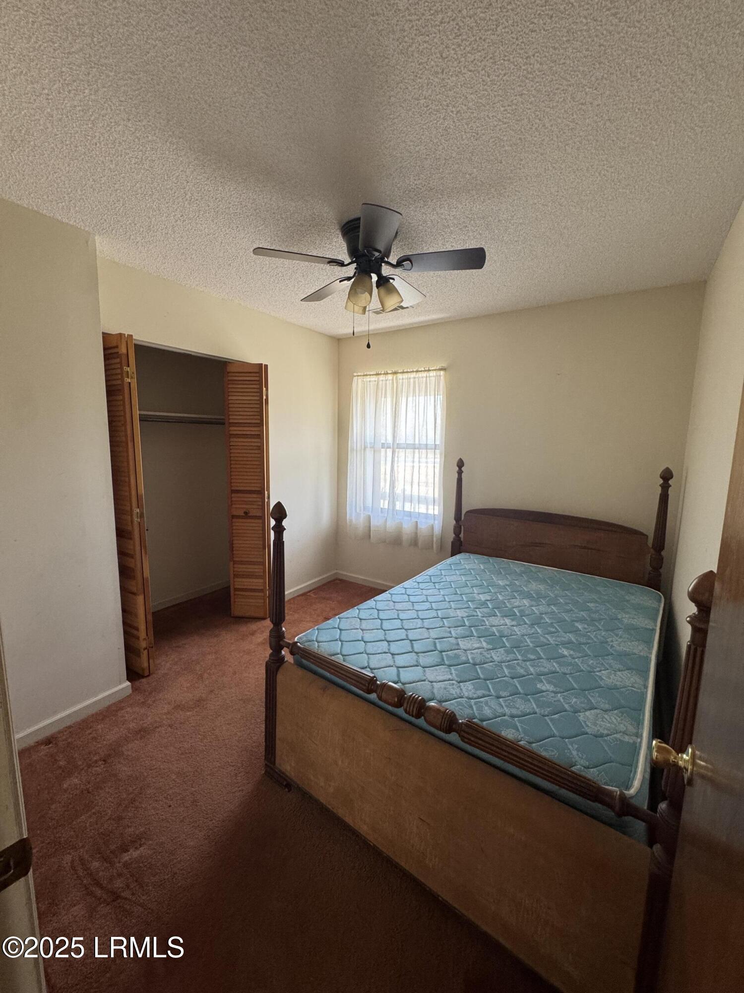 385 Thomas Hamilton Road Brunson, SC 29911 - Photo 18 of 24 IMG_3950