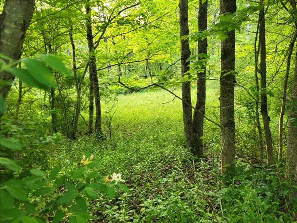 $44,500 | Lot 14.1 Joe Road, North Pitcher, NY 13124