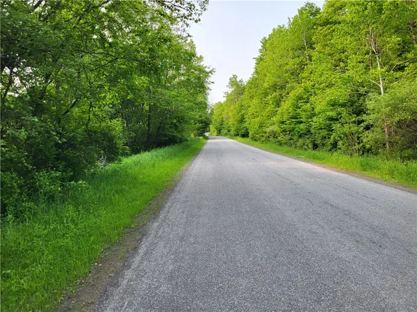$44,500 | Lot 14.1 Joe Road, North Pitcher, NY 13124