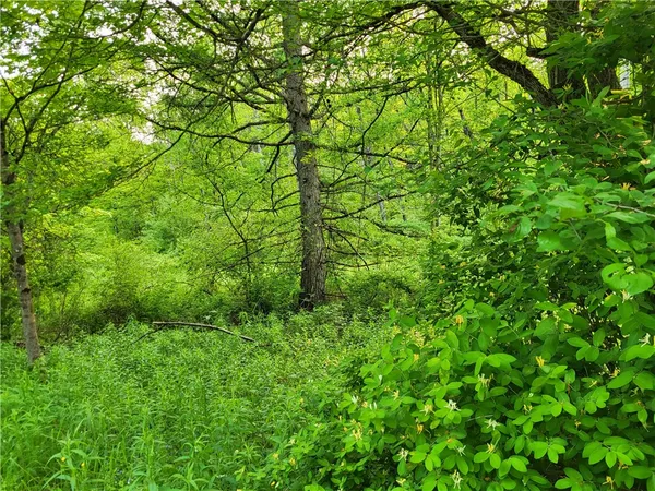 $44,500 | Lot 14.1 Joe Road, North Pitcher, NY 13124