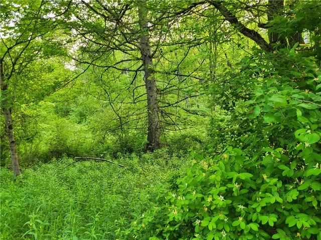 $44,500 | Lot 14.1 Joe Road, North Pitcher, NY 13124