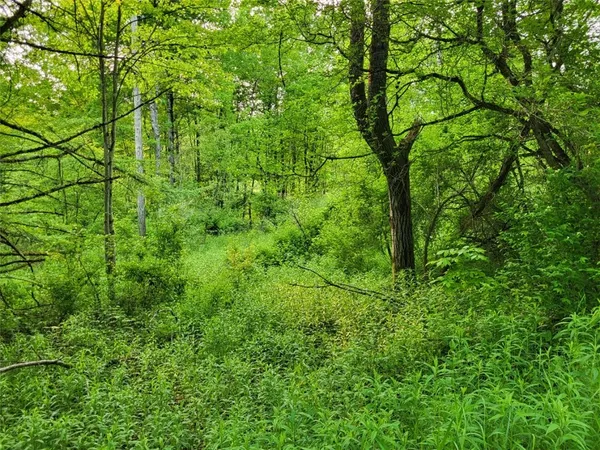 $44,500 | Lot 14.1 Joe Road, North Pitcher, NY 13124