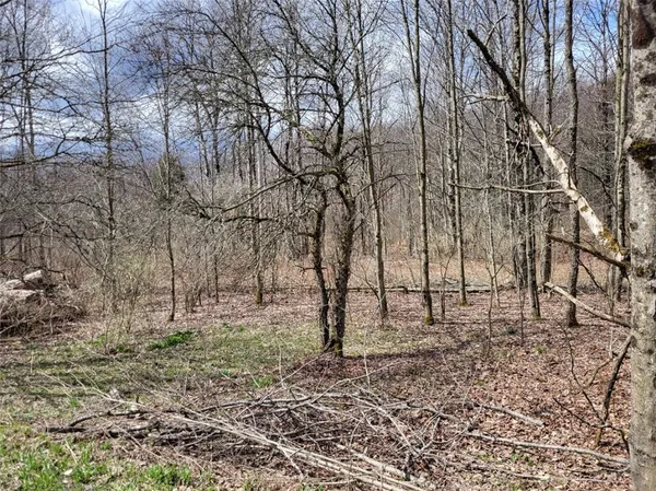 $44,500 | Lot 14.1 Joe Road, North Pitcher, NY 13124
