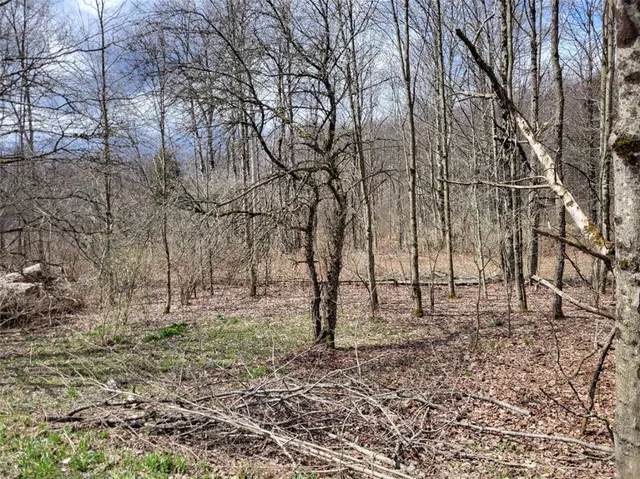 $44,500 | Lot 14.1 Joe Road, North Pitcher, NY 13124
