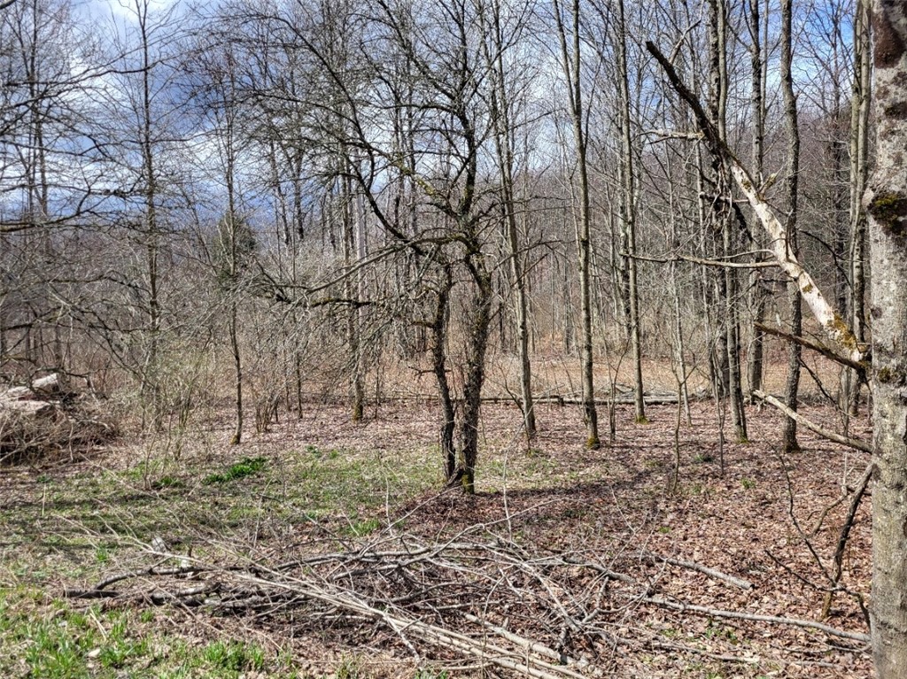 Lot 14.1 Joe Road North Pitcher, NY 13124 - Photo 5 of 8