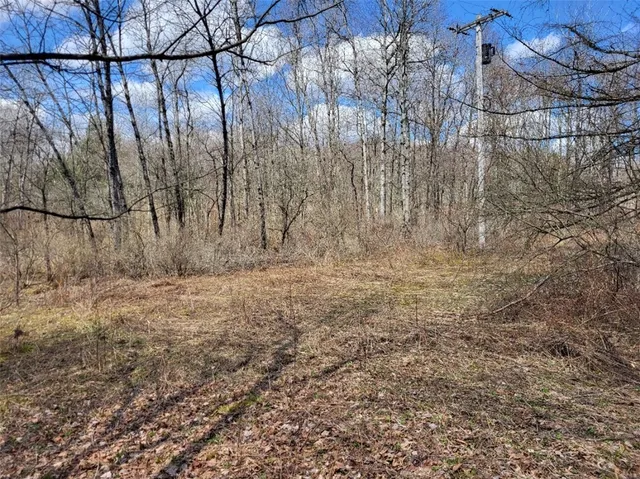 $44,500 | Lot 14.1 Joe Road, North Pitcher, NY 13124