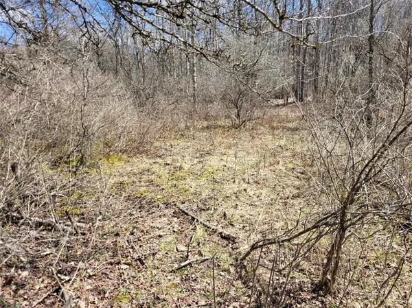 $44,500 | Lot 14.1 Joe Road, North Pitcher, NY 13124