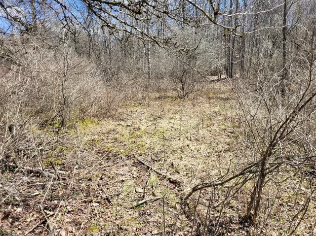 $44,500 | Lot 14.1 Joe Road, North Pitcher, NY 13124
