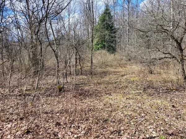 $44,500 | Lot 14.1 Joe Road, North Pitcher, NY 13124