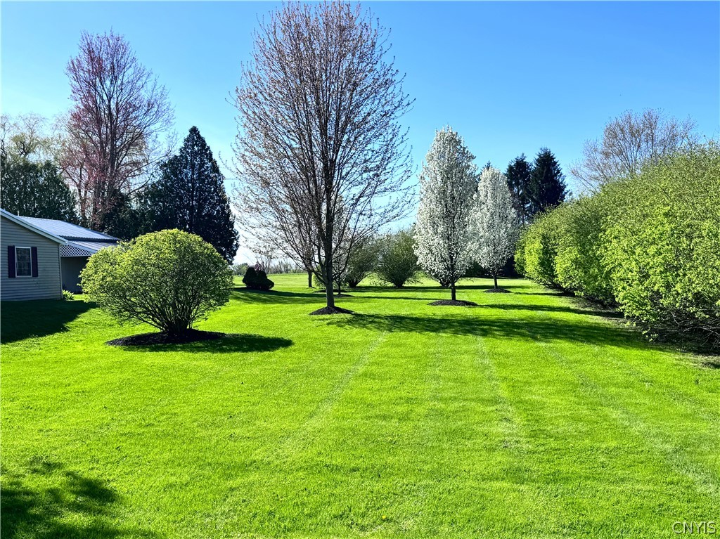 6767 Butts Road Rome, NY 13440 - Photo 8 of 50