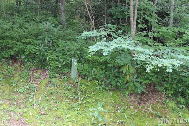 917 Whitewater Ridge Road Sapphire, NC 28774 - Photo 1 of 9 Gallery Image 1