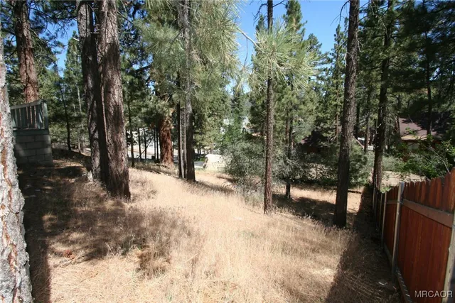 $1,500 | 441 West Aeroplane Boulevard, Big Bear City, CA 92314