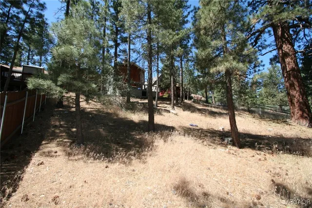 $1,500 | 441 West Aeroplane Boulevard, Big Bear City, CA 92314