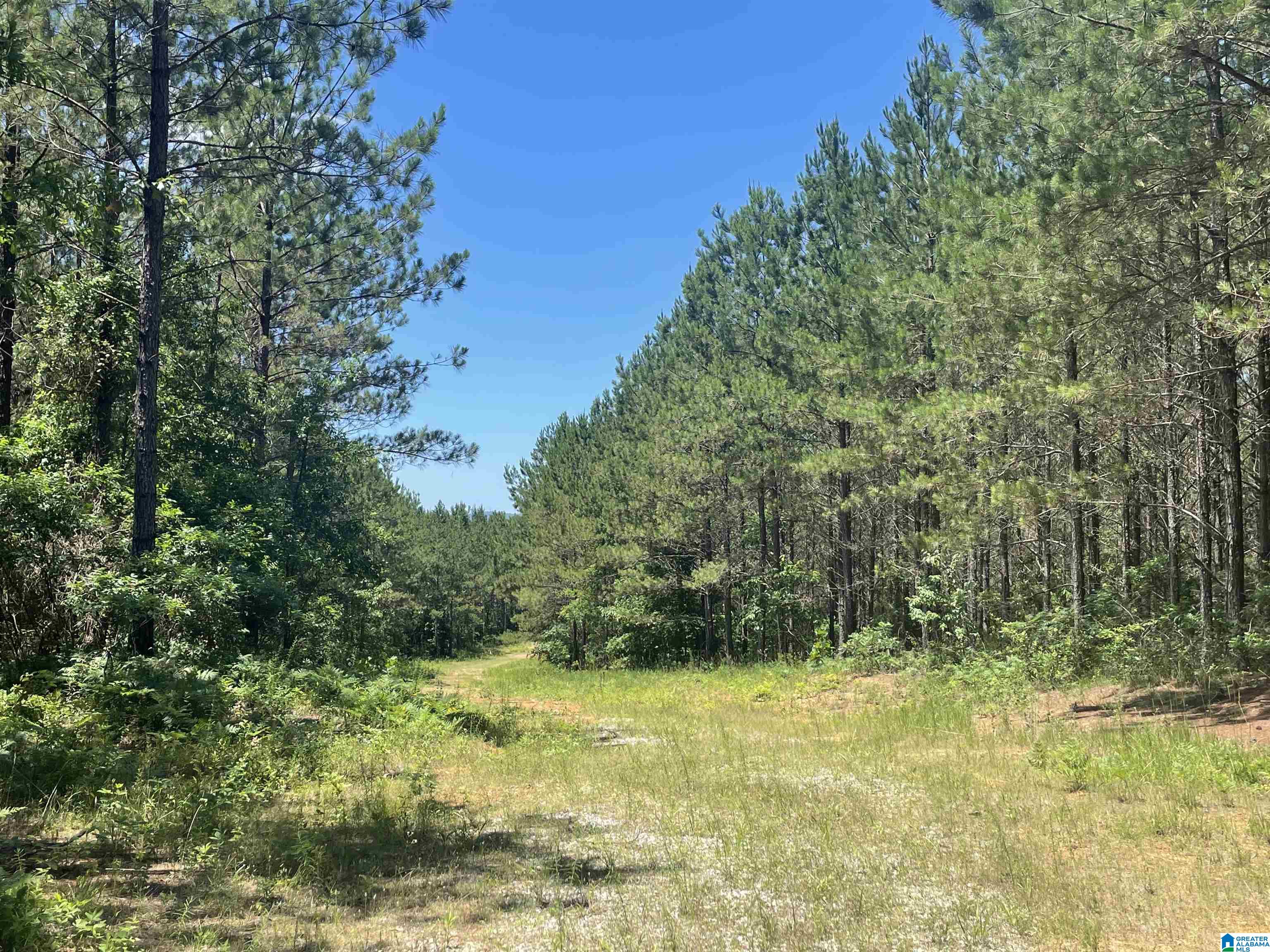 0 Chelsea Farms Road, Unit 24 Chelsea, AL 35043 - Photo 17 of 37