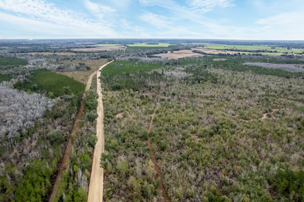 2 Pilgram Ch Road Gordon, AL 36343 - Photo 6 of 17