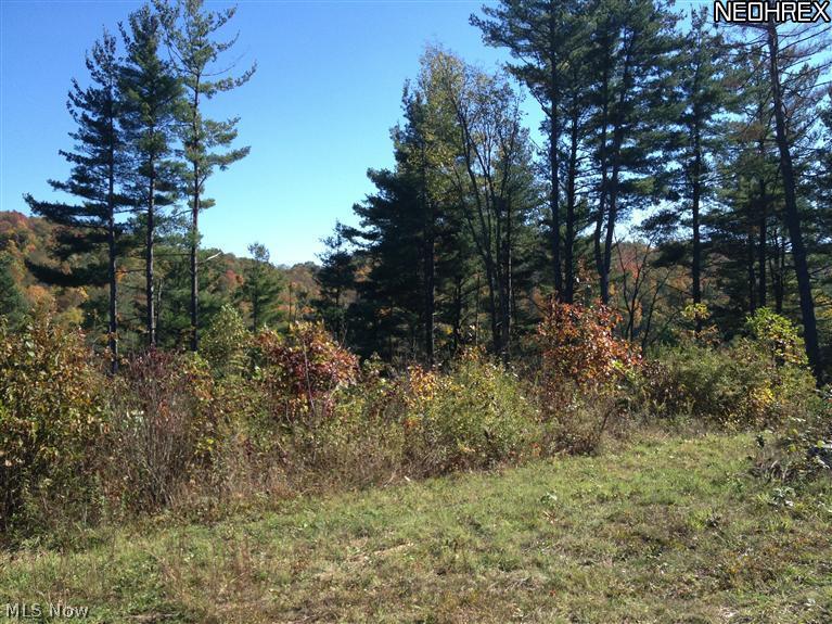 999 Roxford Church Road Southeast Sherrodsville, OH 44675 - Photo 1 of 6