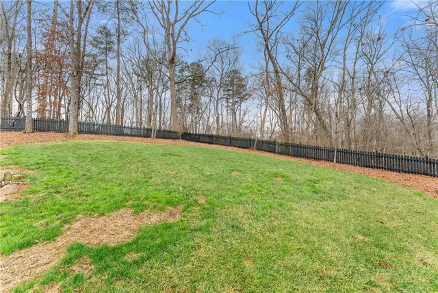 a view of backyard with tree