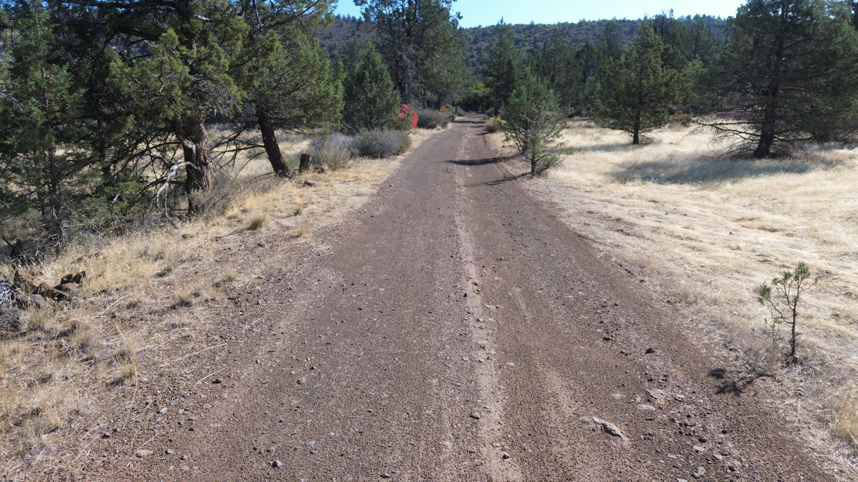 Nsa Old Hwy Road McArthur, CA 96056 - Photo 20 of 21 DJI_0409