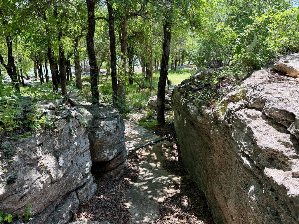 2007 Deep Water Road May, TX 76857 - Photo 25 of 40 a picture of trees