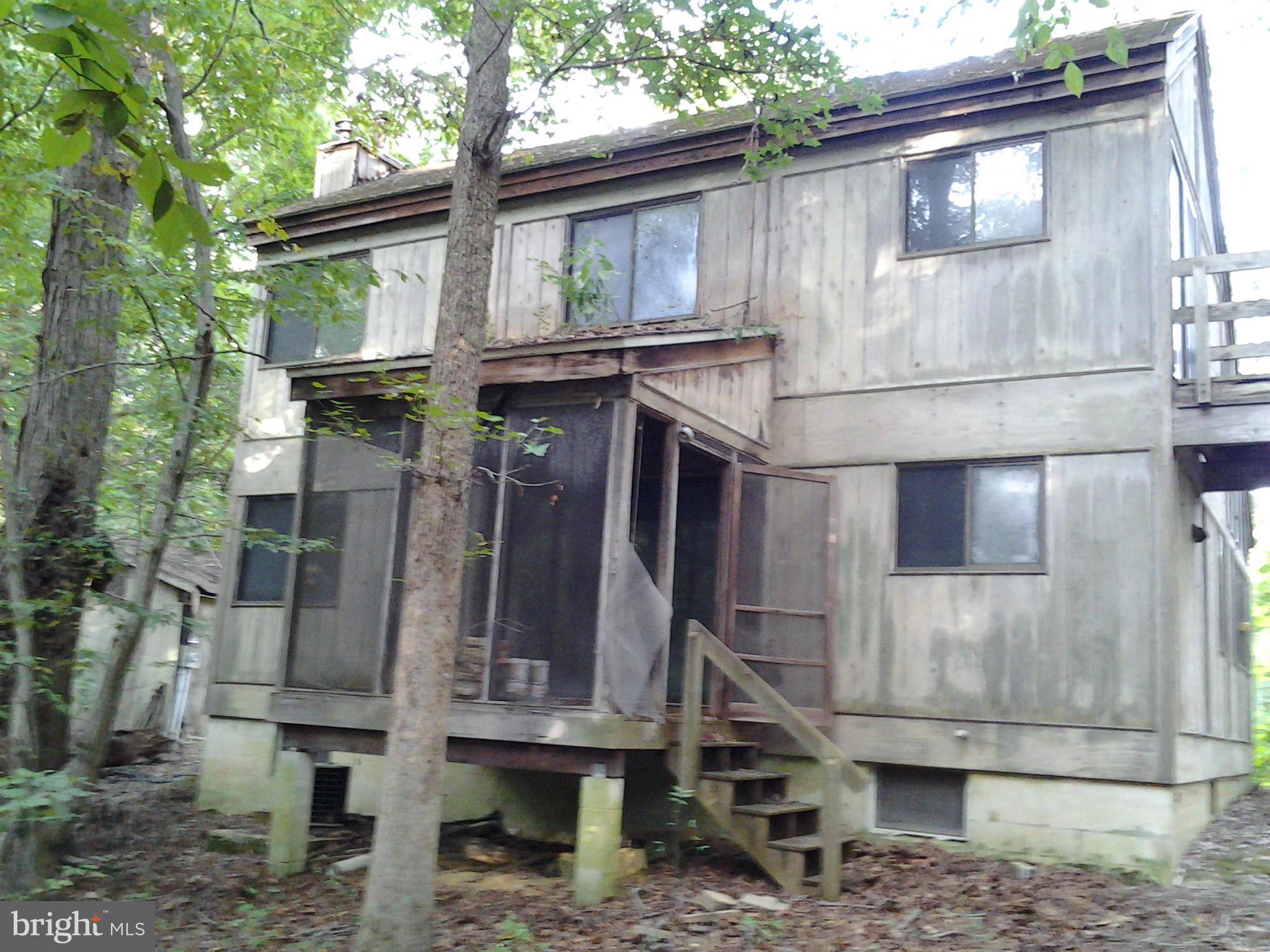 29185 Buck Rub Road Trappe, MD 21673 - Photo 12 of 19 Exterior (Rear)