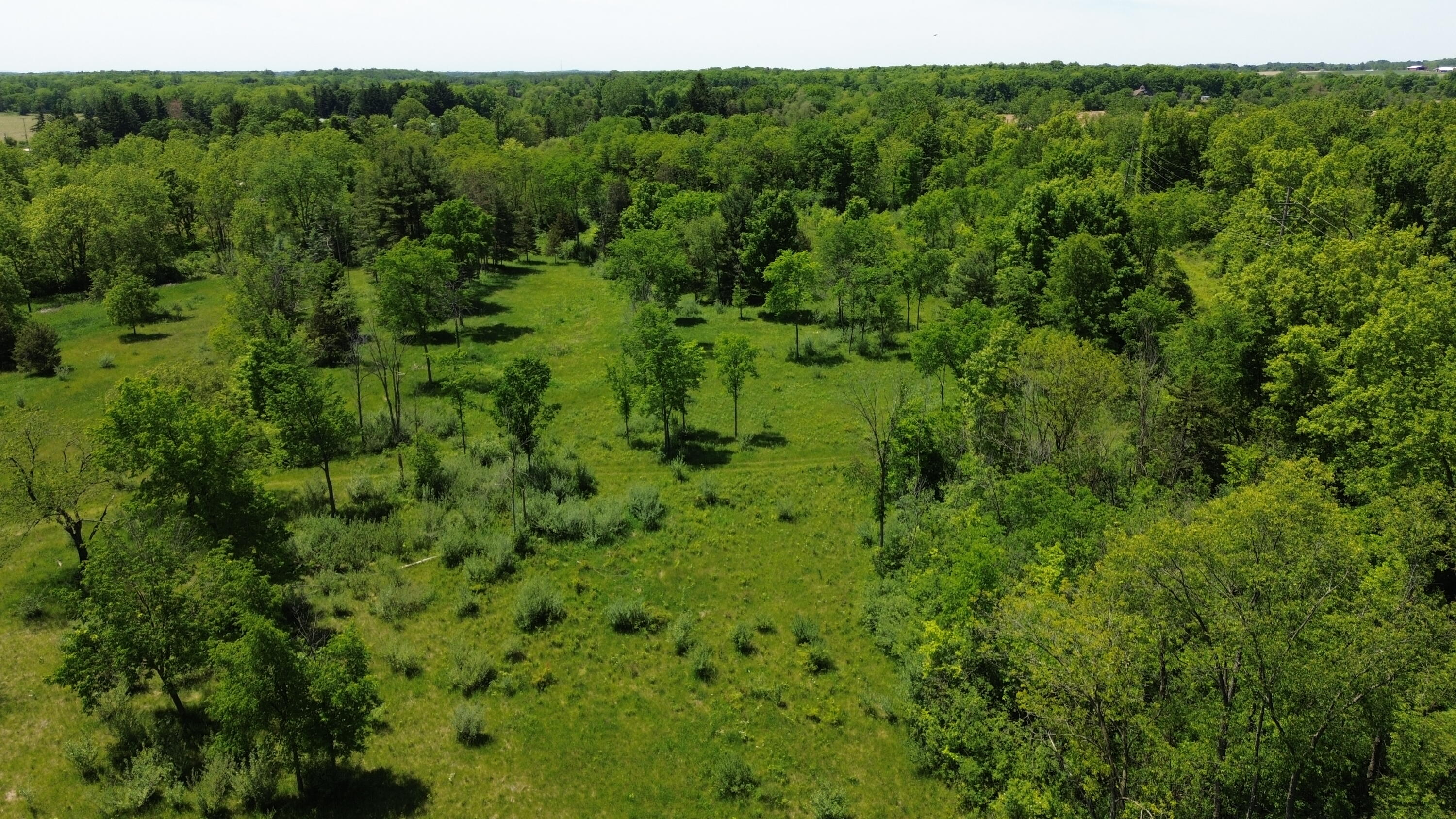 Travis Pointe Road Ann Arbor, MI 48108 - Photo 25 of 34 DJI_0134
