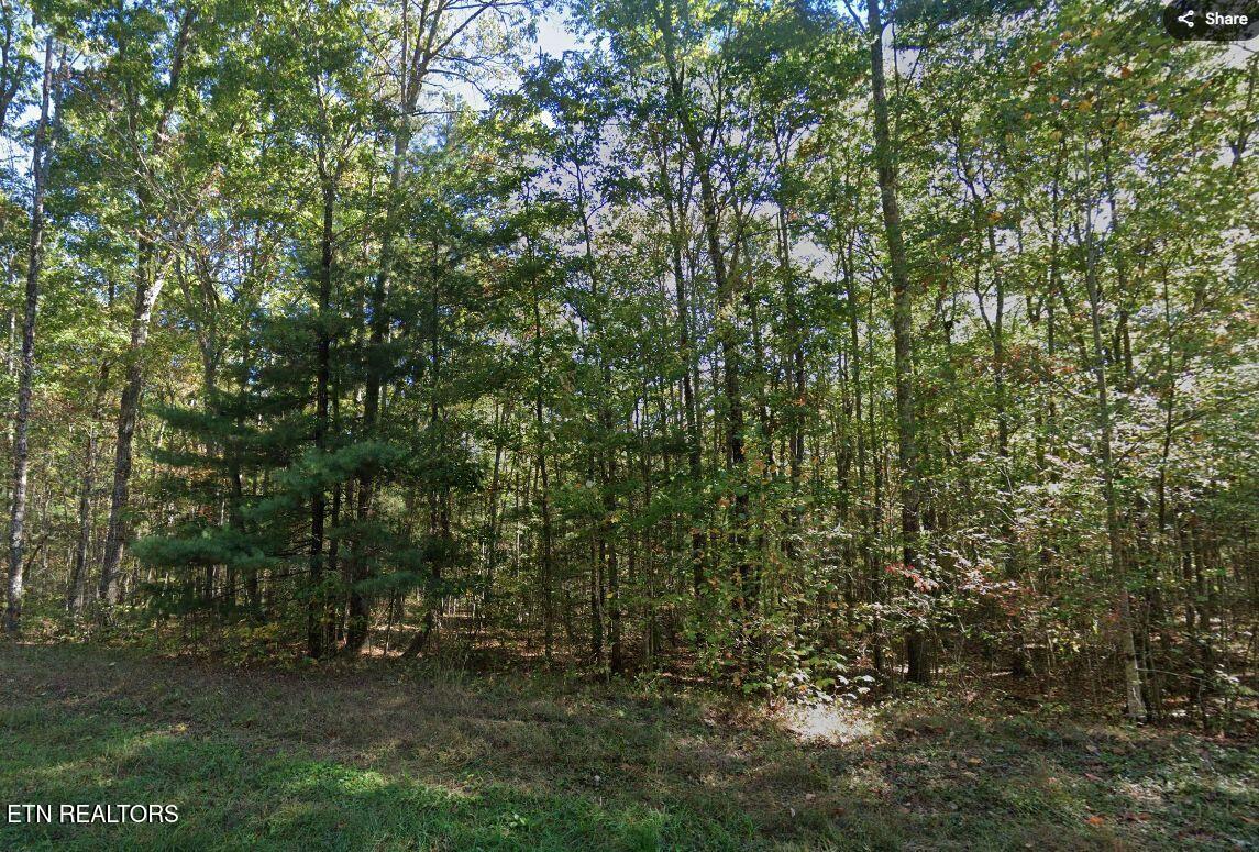 0 Jay Loop Jamestown, TN 38556 - Photo 1 of 3 jay loop 3