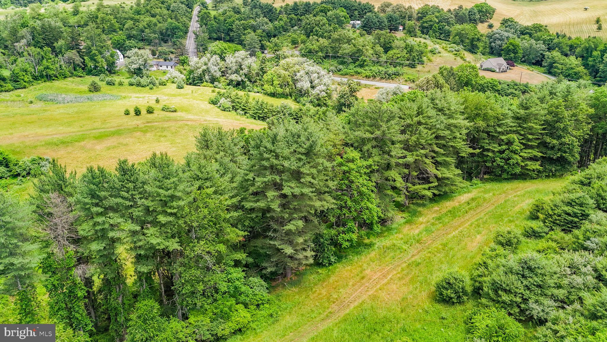 179.05 Poco Farm Road Williamsport, PA 17701 - Photo 6 of 7