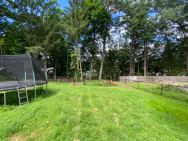 a view of a backyard with large trees