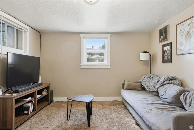 565 East 800 North Logan, UT 84321 - Photo 22 of 27 Neutral-toned walls complement the textured carpeting