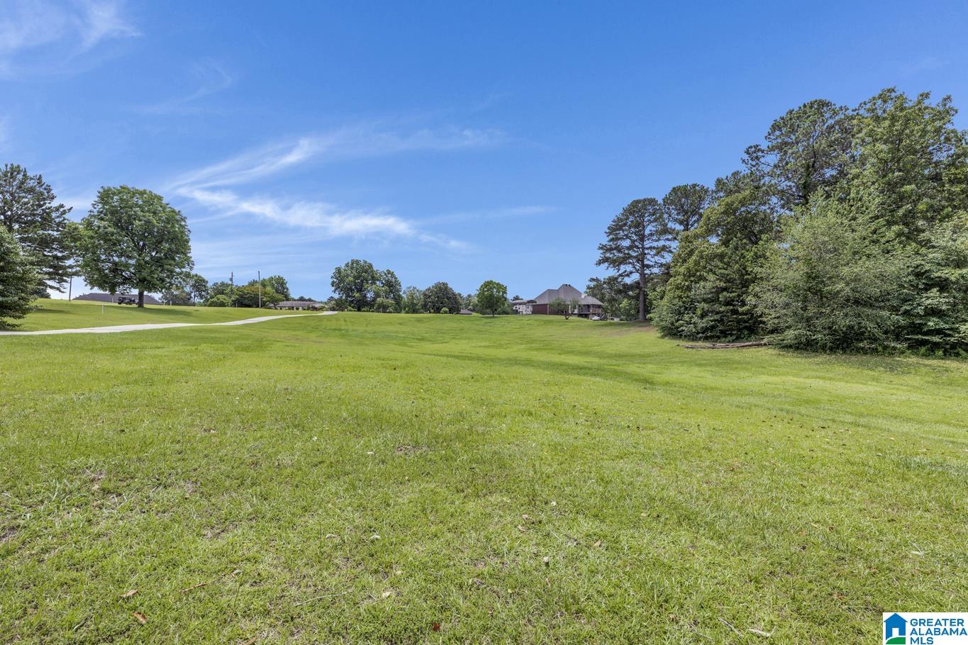 8664 County Line Road Dora, AL 35062 - Photo 61 of 67
