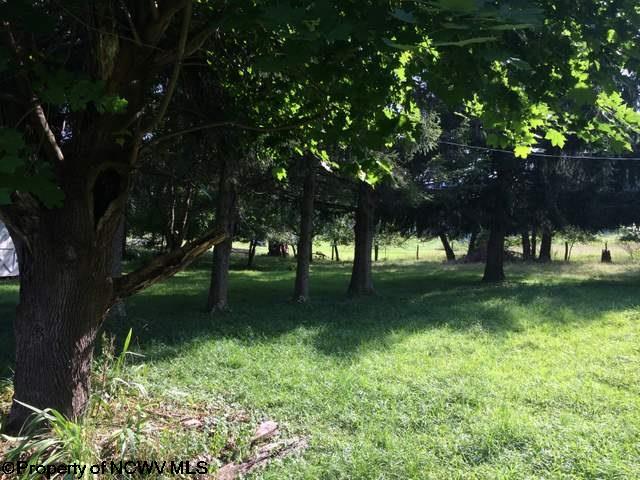 3 Rr Elkins, WV 26241 - Photo 6 of 20 Gallery Image 6