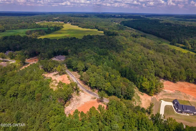 a view of a lush green forest with lots of trees