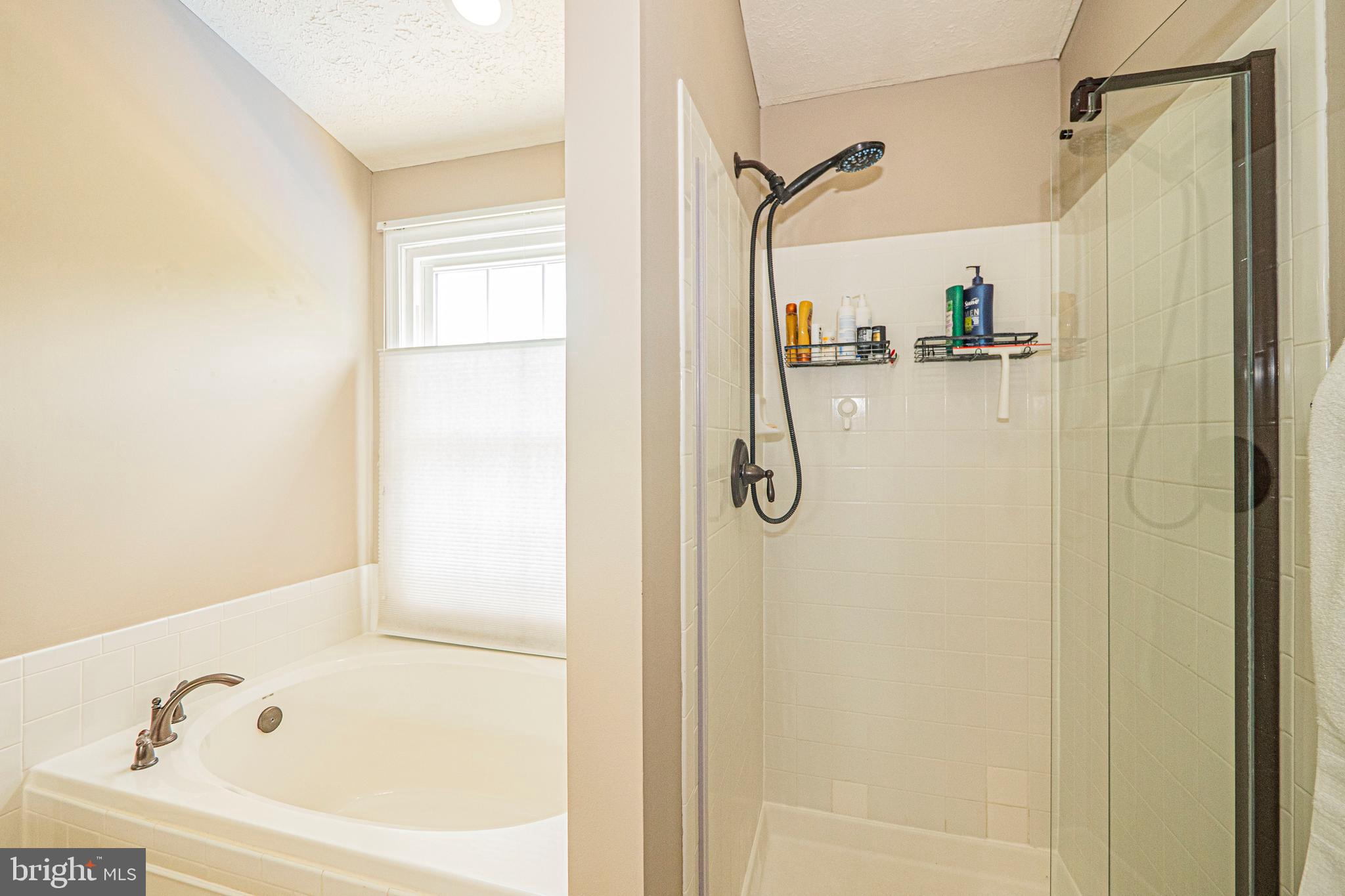2 Redfern Place Boonsboro, MD 21713 - Photo 47 of 69 Primary Bath with Separate Shower and Tub