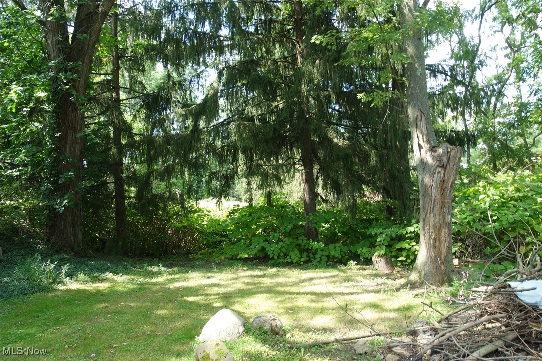 6238 Manchester Road Clinton, OH 44216 - Photo 5 of 33 Back Yard