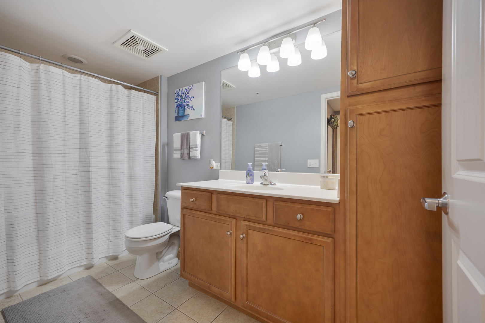 225 Main Street, Unit 216 Roselle, IL 60172 - Photo 14 of 20 a bathroom with a sink a toilet and shower