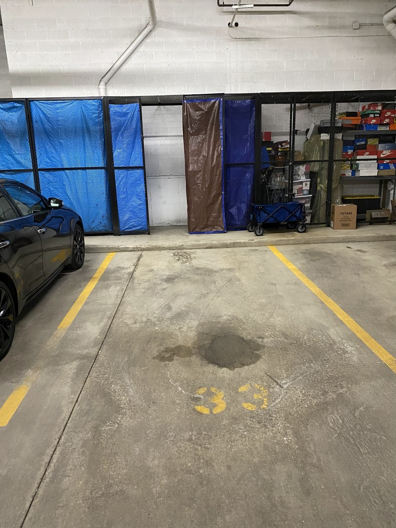 225 Main Street, Unit 216 Roselle, IL 60172 - Photo 19 of 20 a view of a car garage
