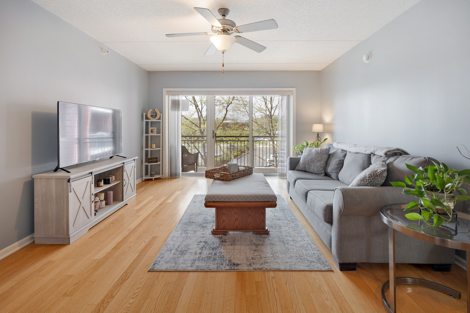 225 Main Street, Unit 216 Roselle, IL 60172 - Photo 7 of 20 a living room with furniture and a flat screen tv