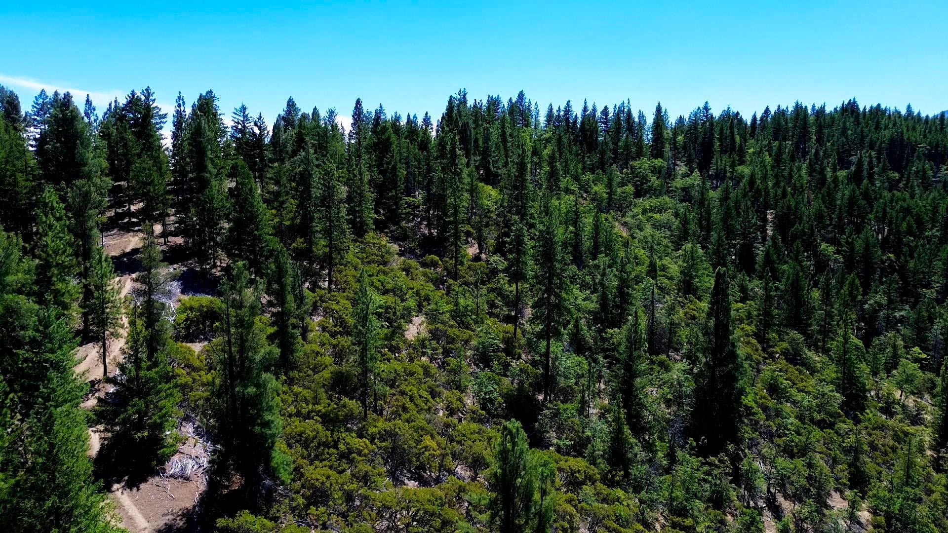 0 South Kidder Creek Road Greenview, CA 96037 - Photo 6 of 22 Gallery Image 6