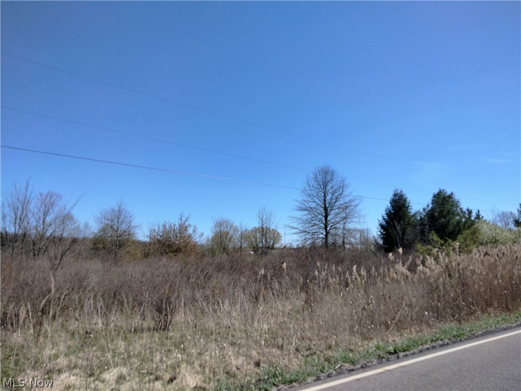 Bedell Road Berlin Center, OH 44401 - Photo 12 of 15