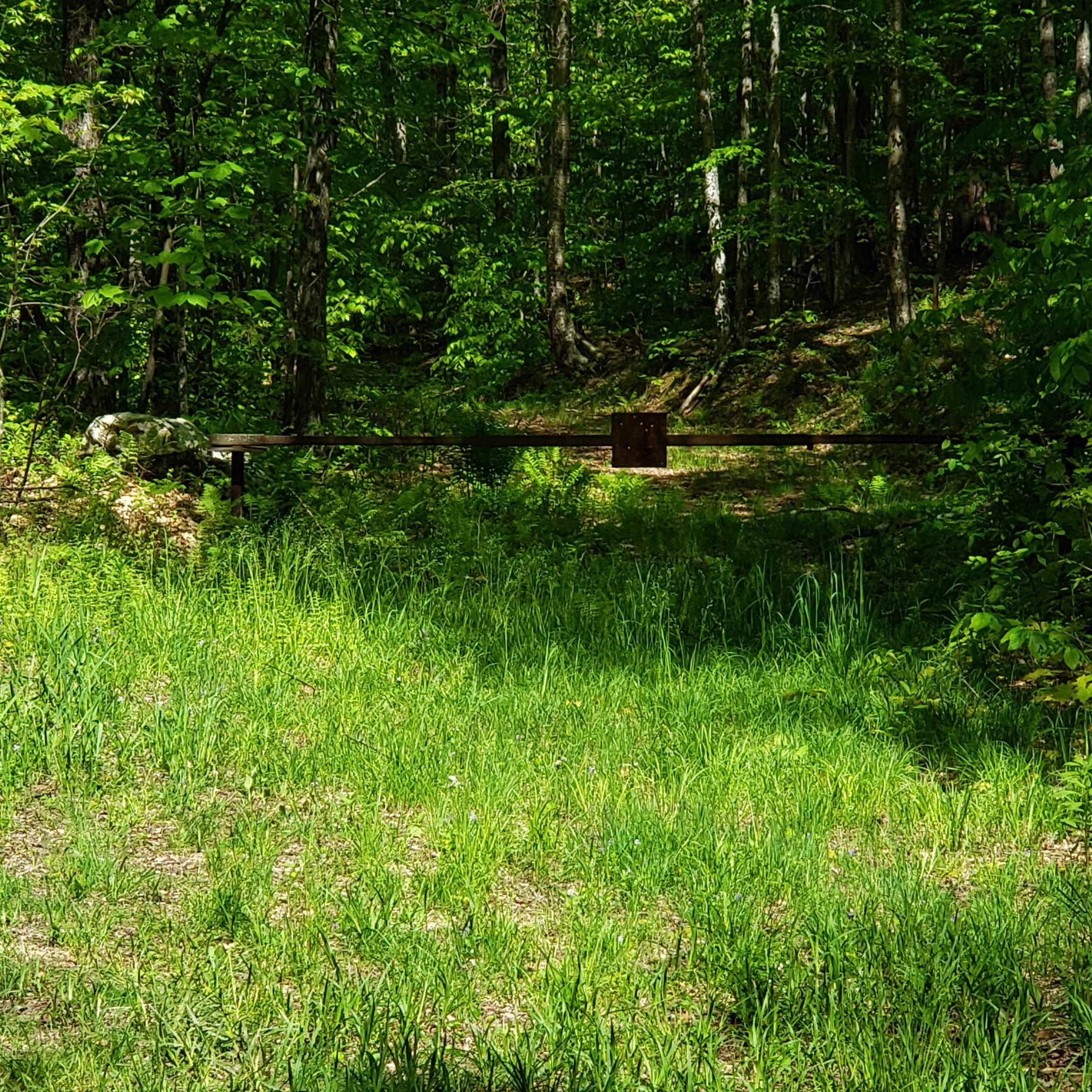 0 Beaver Meadow Road Roxbury, VT 05669 - Photo 4 of 16