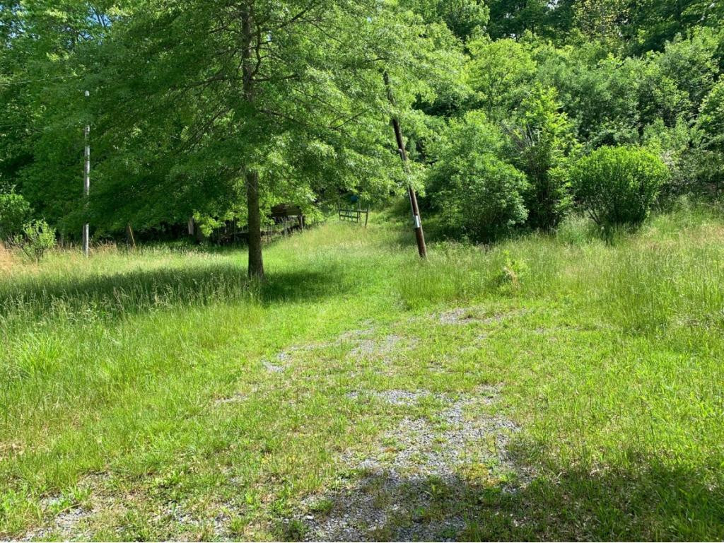 13337 Pine Branch Road Coeburn, VA 24230 - Photo 2 of 6 VIEW OF DRIVEWAY ENTRANCE