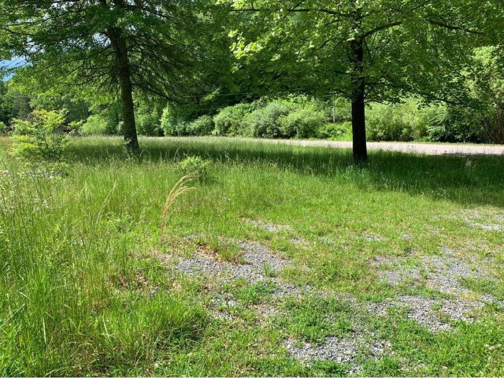 13337 Pine Branch Road Coeburn, VA 24230 - Photo 3 of 6 VIEW FROM DRIVEWAY TOWARD ROAD