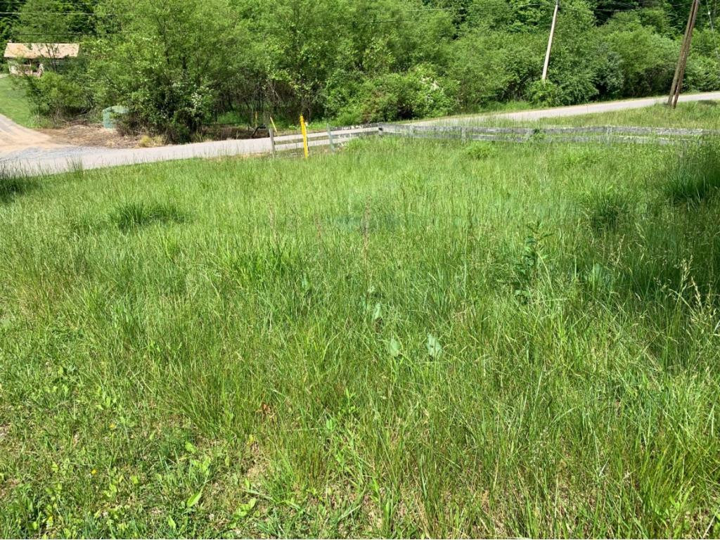 13337 Pine Branch Road Coeburn, VA 24230 - Photo 4 of 6 VIEW OF LOT TOWARD ROAD