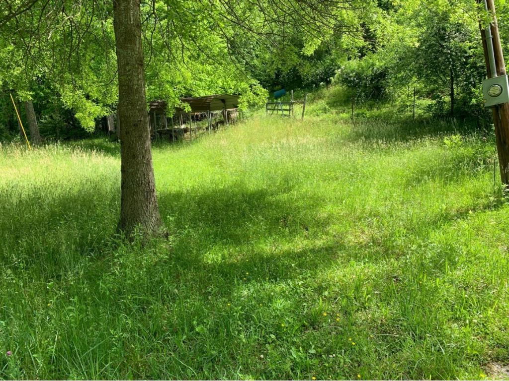 13337 Pine Branch Road Coeburn, VA 24230 - Photo 5 of 6 VIEW TOWARD CARPORT